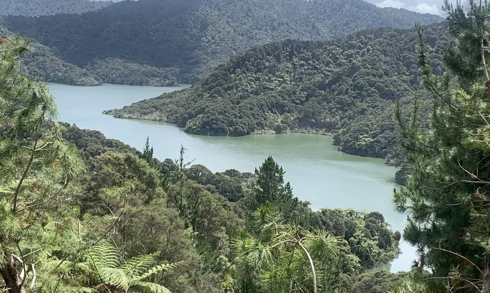 Pukapuka Track, Auckland