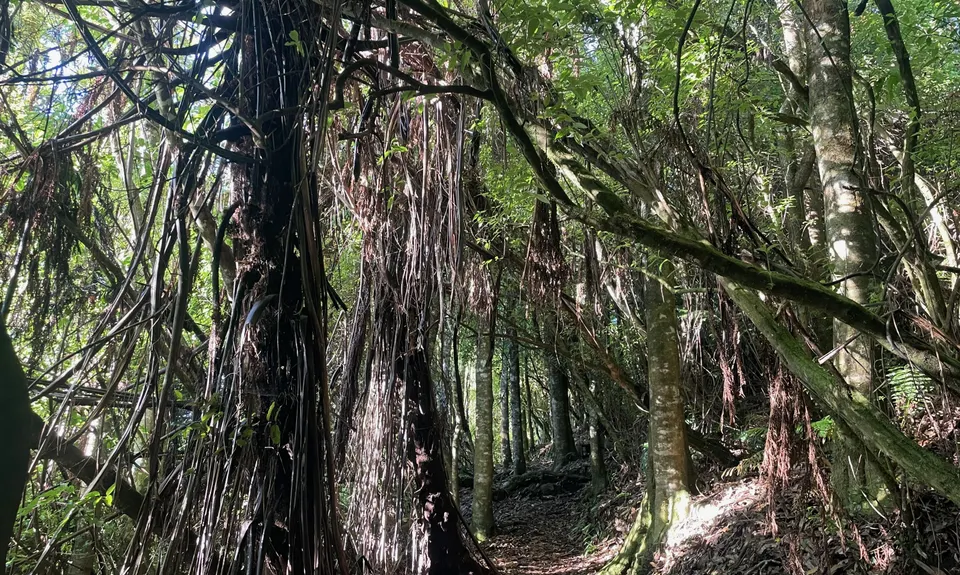 Pukawa - Kuratau River return, Waikato