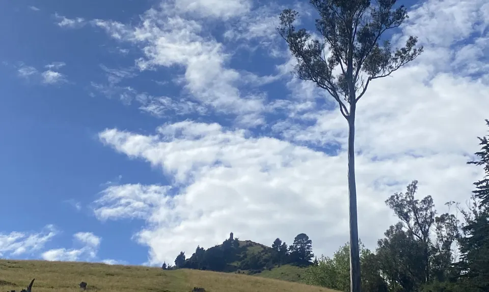 Puketapu Hill Loop, Otago