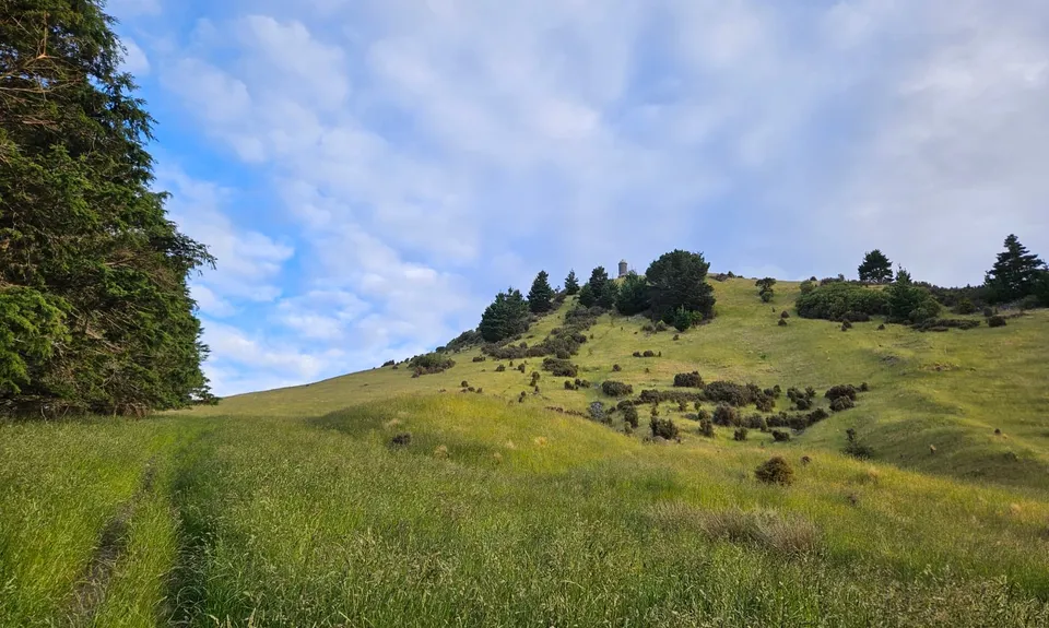 Puketapu