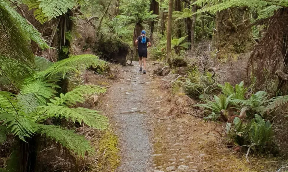 Punakaiki-Pororari loop, West Coast