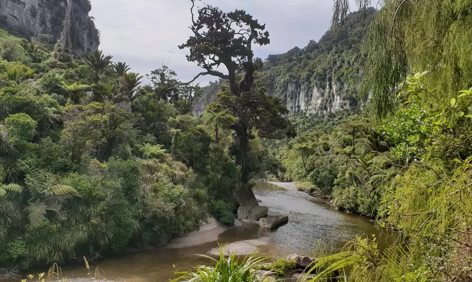 Punakaiki-Pororari loop, West Coast