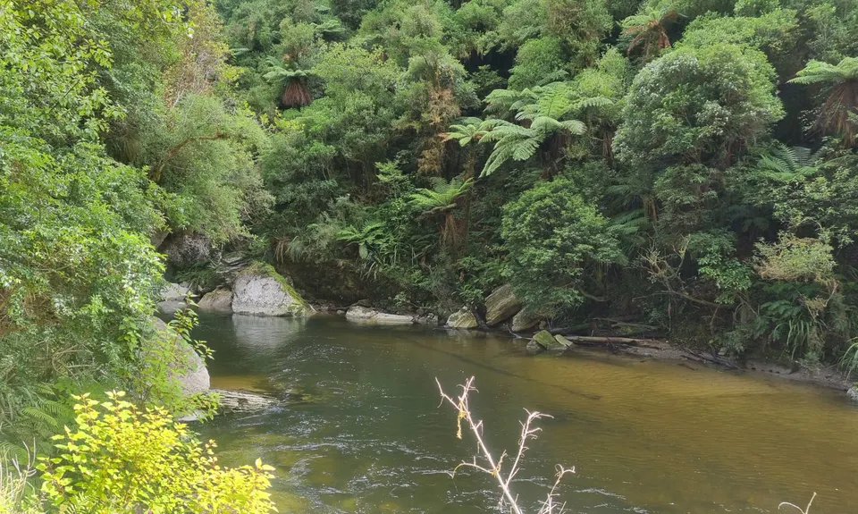 Punakaiki-Pororari loop, West Coast