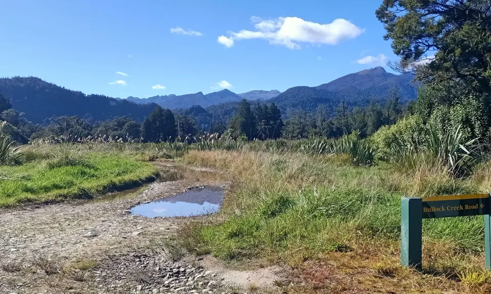 Punakaiki Loop, West Coast