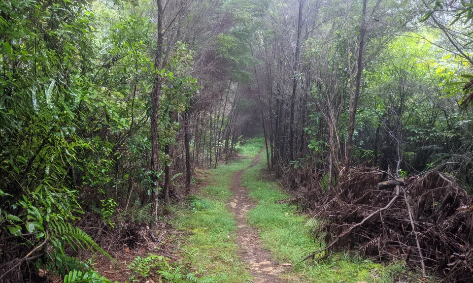 Challenge Track, Auckland