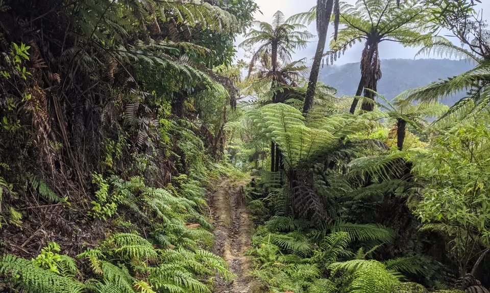 Challenge Track, Auckland