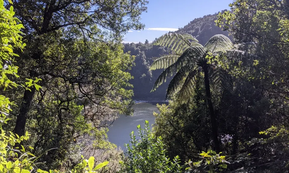 The Other Okataina Trails, Bay of Plenty