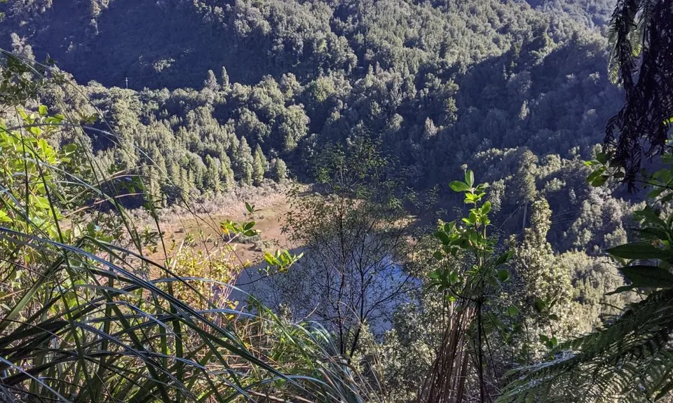 The Other Okataina Trails, Bay of Plenty