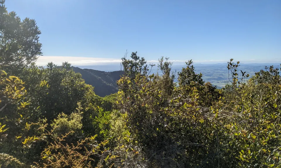 Pukeatua