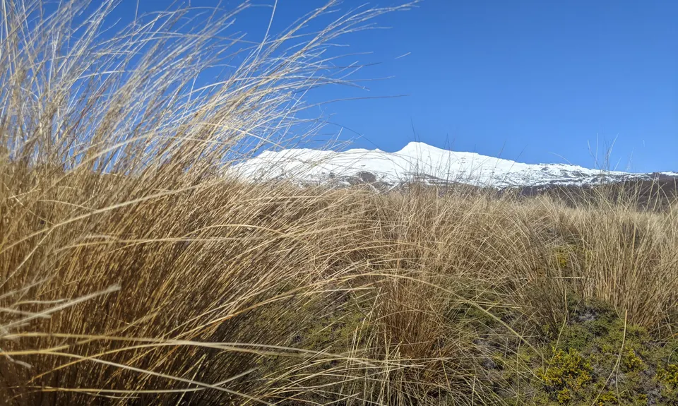 Whakapapa/Wairere off the beaten track, Manawatu - Wanganui