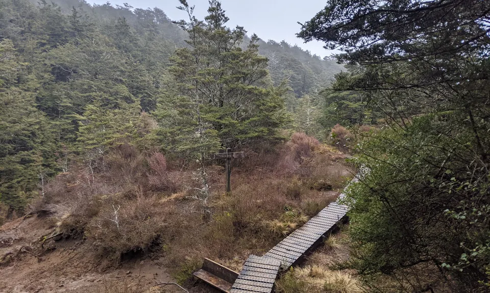 Hauhangatahi Wilderness, Manawatu - Wanganui