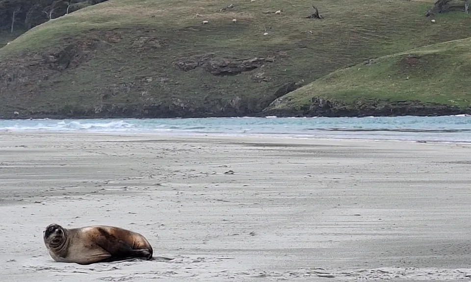 Pyramids to Papanui via Victory Beach, Otago