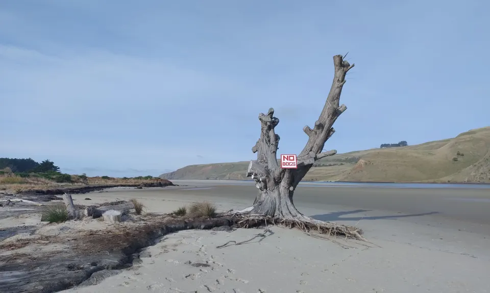 Pyramids to Papanui via Victory Beach, Otago