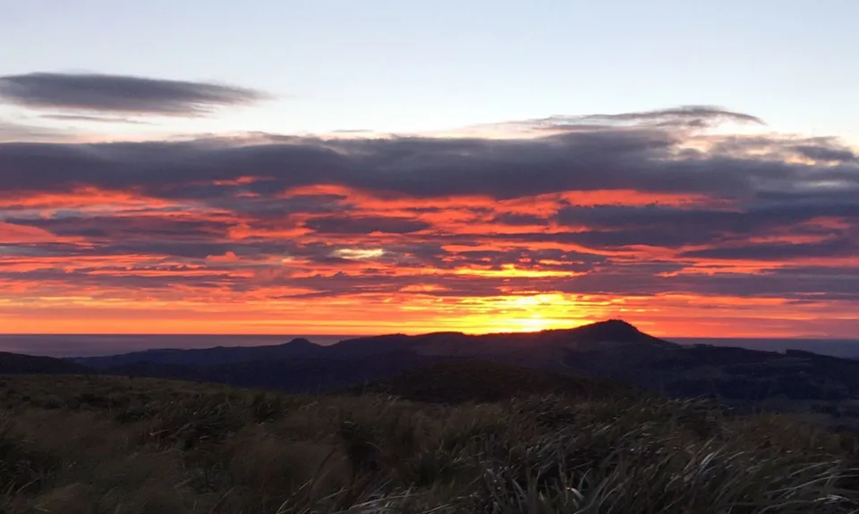 Pineapple and Flagstaff, Otago