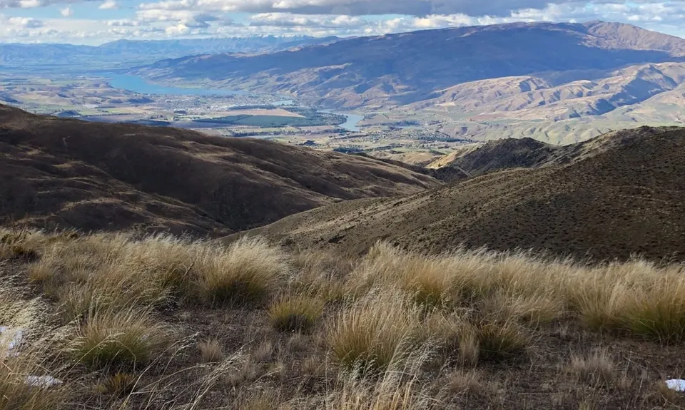 Upper Pipeclay Track, Otago
