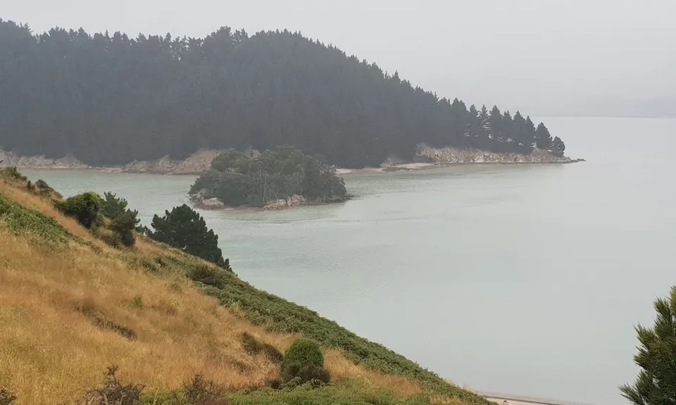 Quail Island Looping, Canterbury