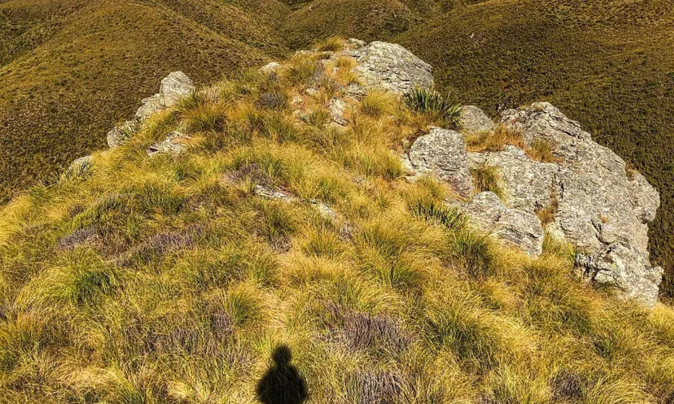 Maukaatua Track Out and Back, Otago