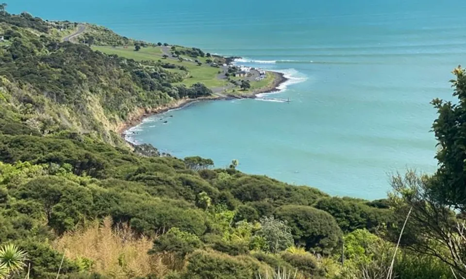 Raglan Whāingaroa Beach and Bush, Waikato