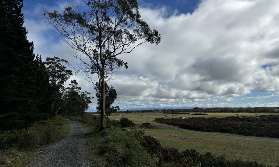 Rakaia River Terrace, Canterbury
