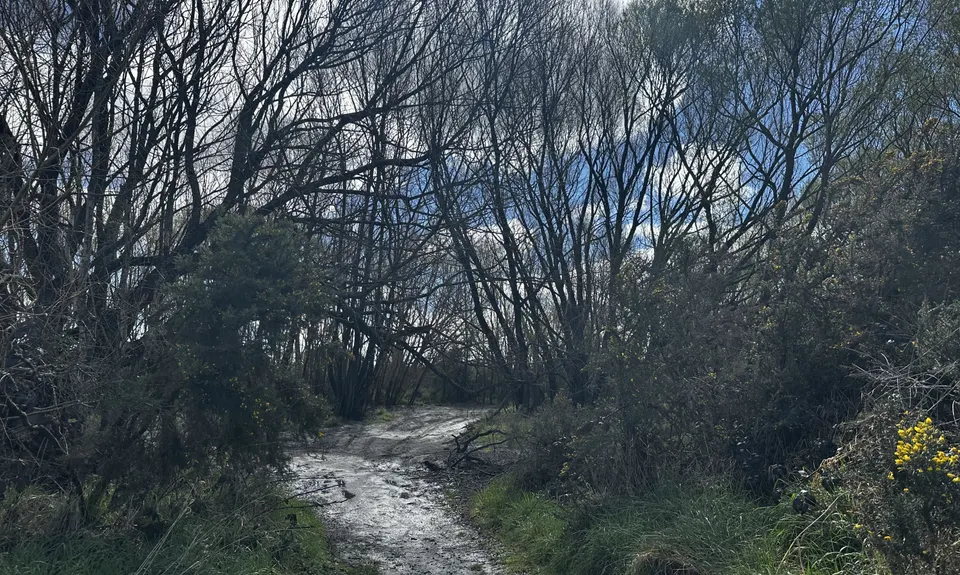 Rakaia River Terrace, Canterbury