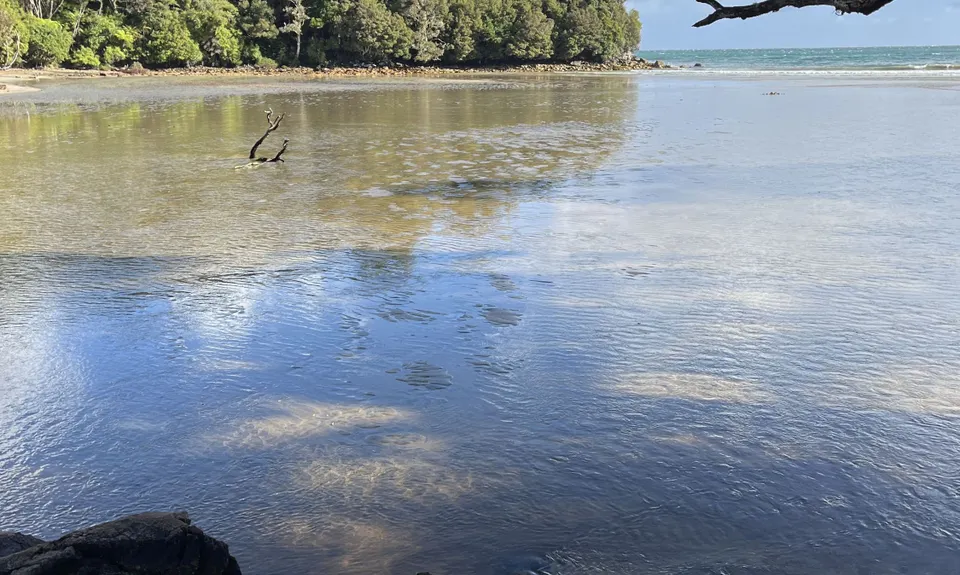 Rakiura Track, Southland