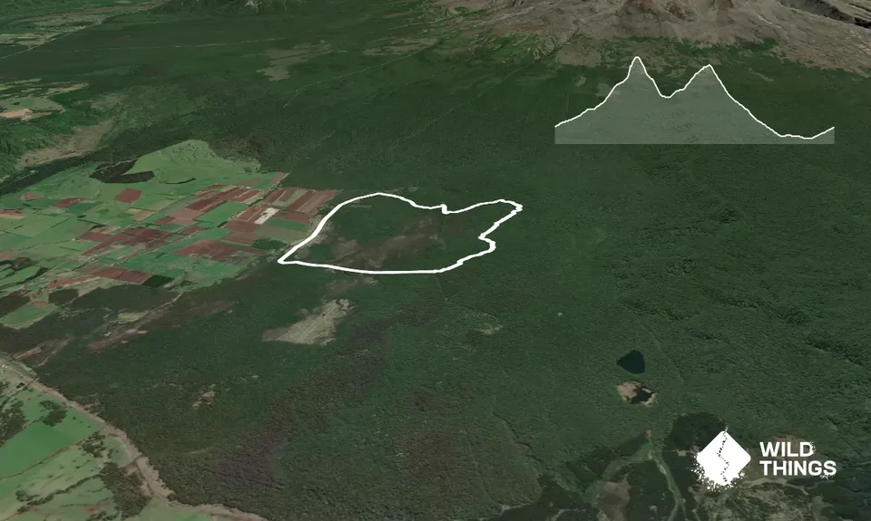 Ramble Above Rangatau , Manawatu - Wanganui