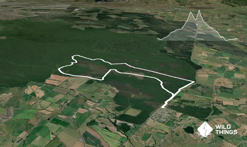 Rangataua Forest Lap, Manawatu - Wanganui