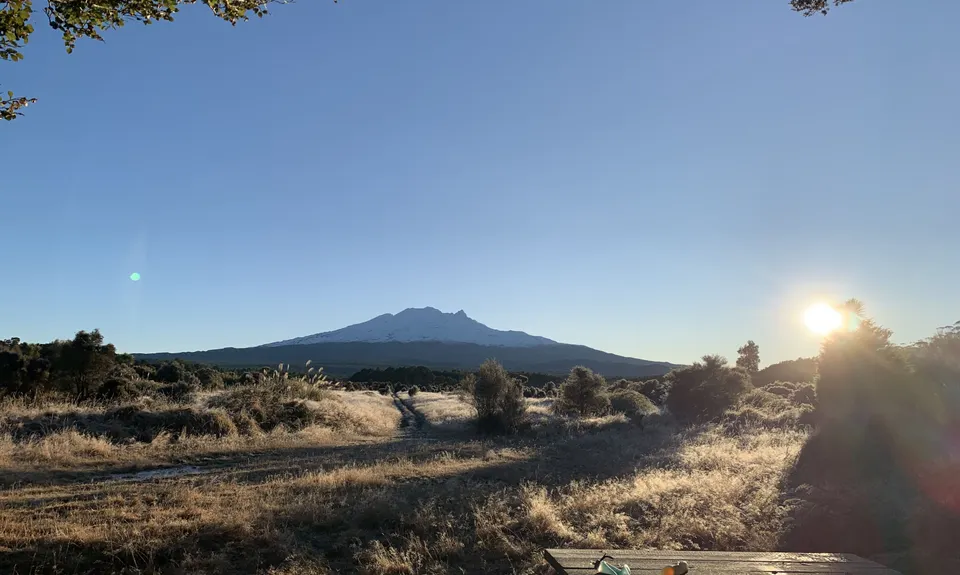 Rangataua Forest Lap, Manawatu - Wanganui
