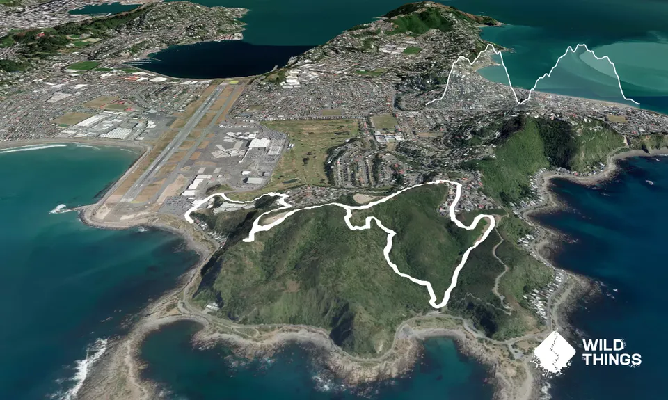 Rangitatau Plane Spotting, Wellington
