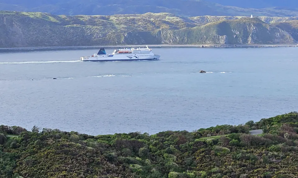 Rangitatau Plane Spotting, Wellington