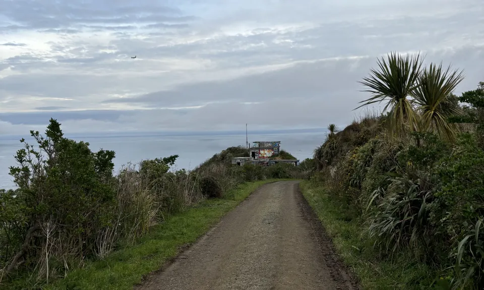Rangitatau Plane Spotting, Wellington