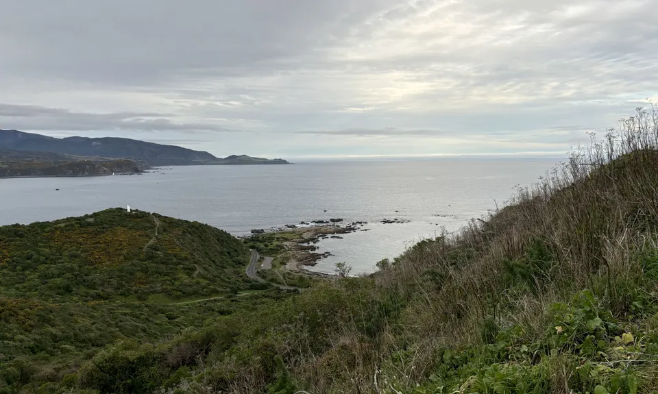 Rangitatau Plane Spotting, Wellington