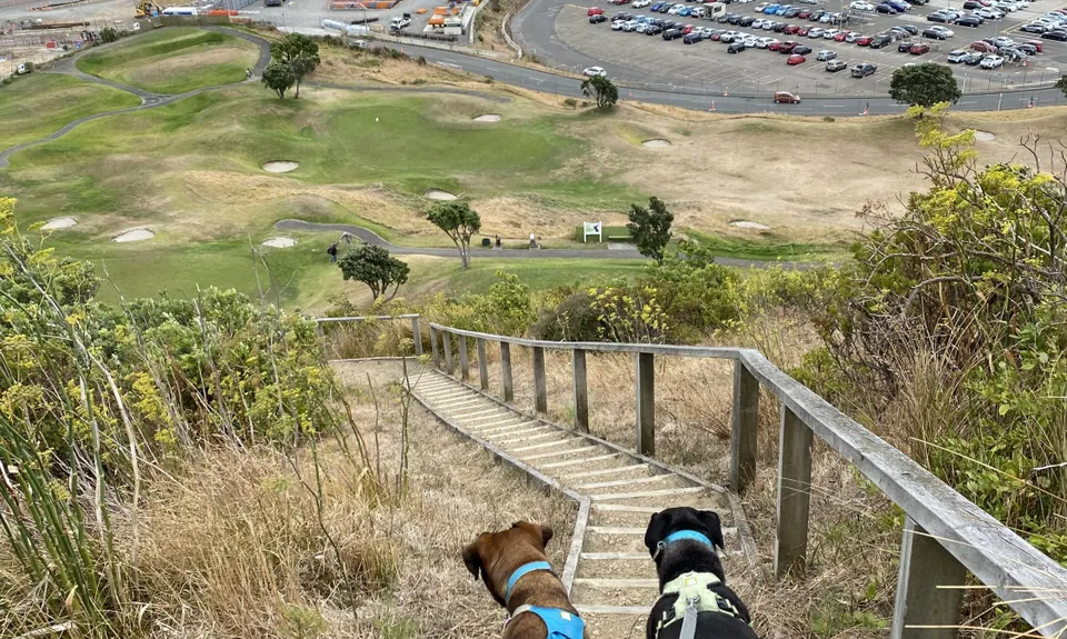 Rangitatau Plane Spotting, Wellington