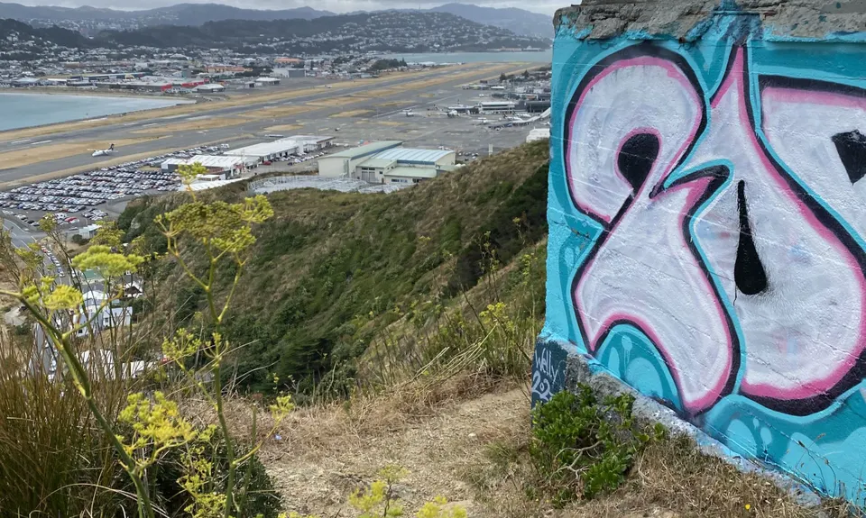 Rangitatau Plane Spotting, Wellington