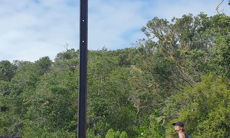 Rangitoto Romp, Auckland