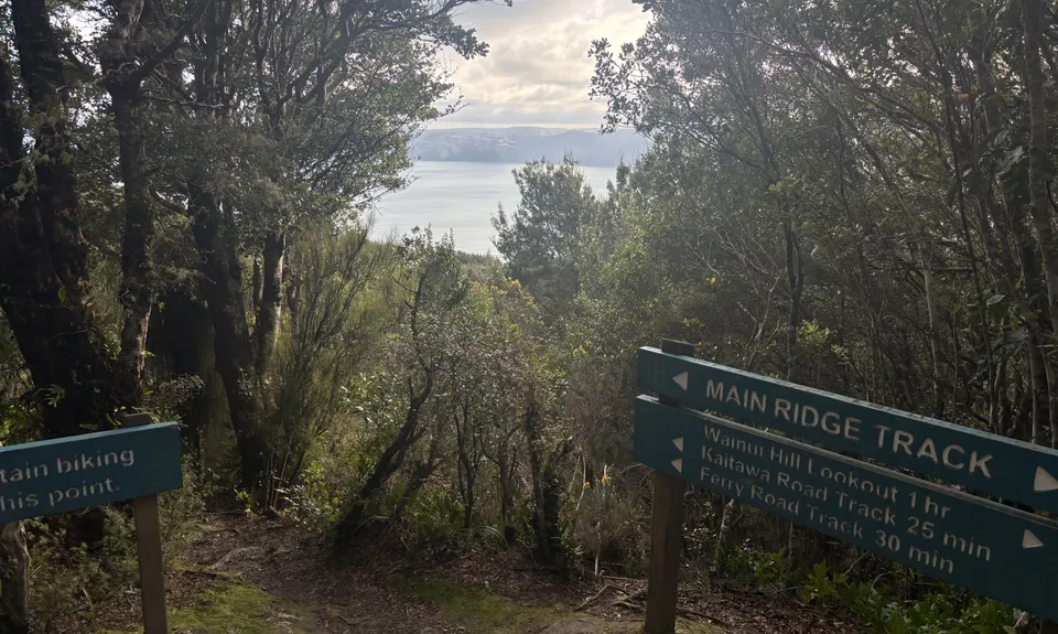 Rata Ridge, Wellington