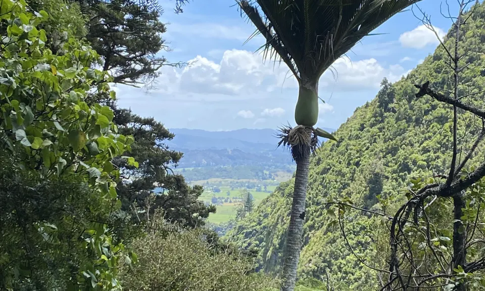 Rawhiti Ramble , Tasman
