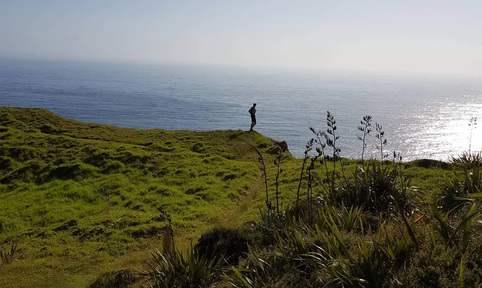 Cape Brett Canter, Northland