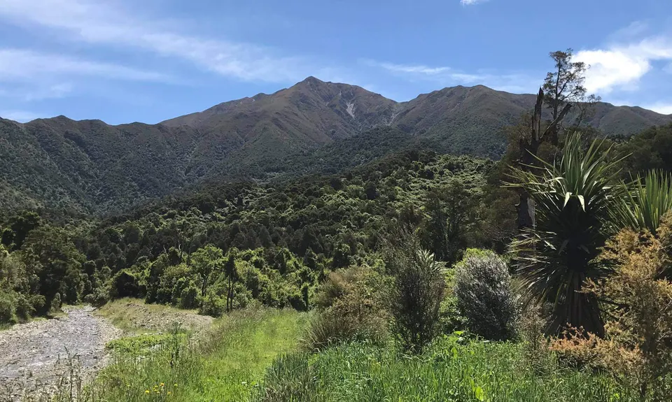Little Peel Loop, Canterbury