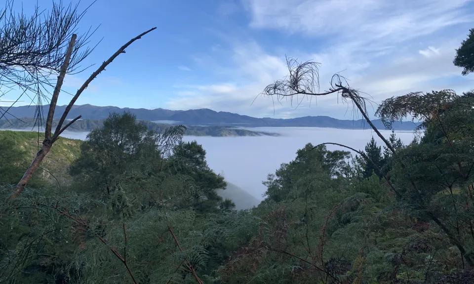 Reefton Zig Zags, West Coast