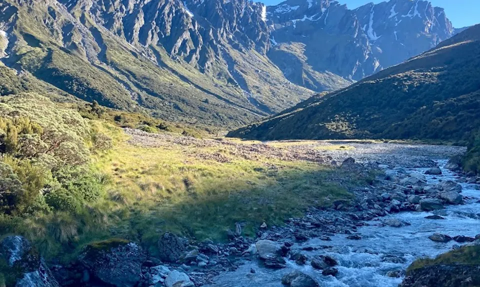 Rees - Cascade, Otago