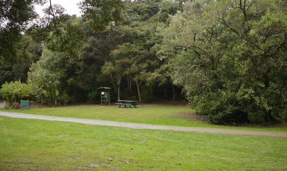 Trotters Gorge Campsite