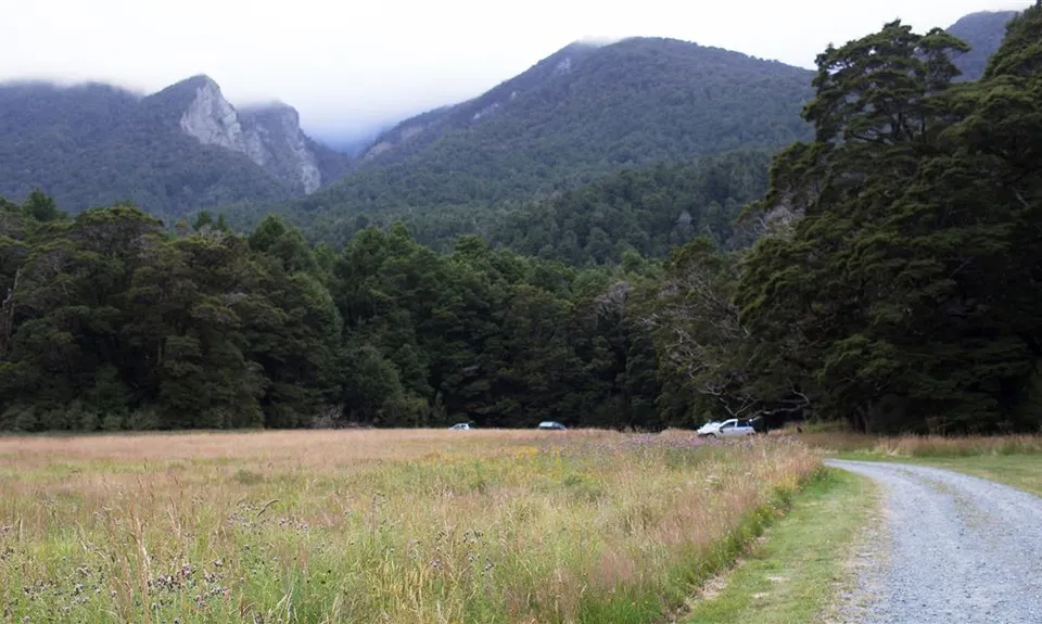 Kiosk Creek Campsite