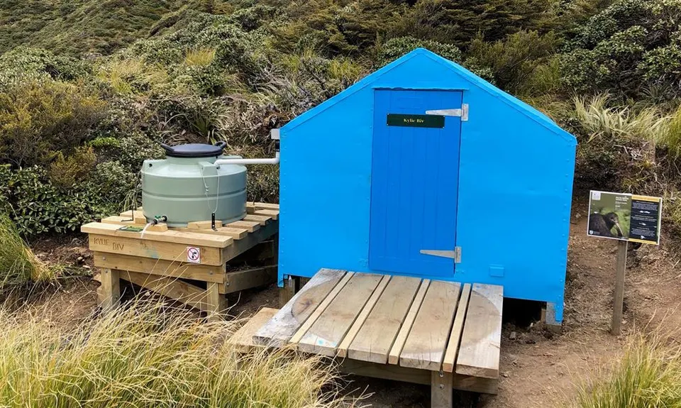 Kylie Bivvy