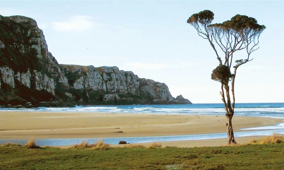 Purakaunui Bay Campsite