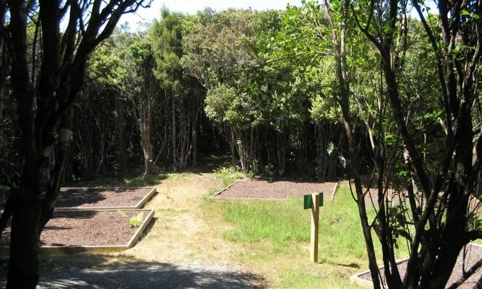 Crosbies Hut Backcountry Campsite
