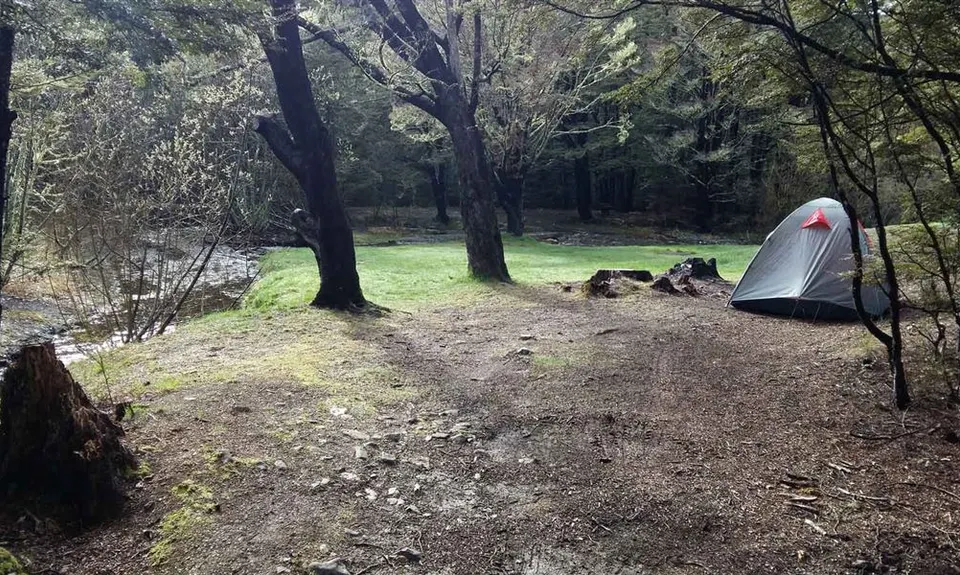 Mistletoe Flats Campsite