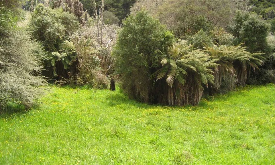 Johnsons Campsite