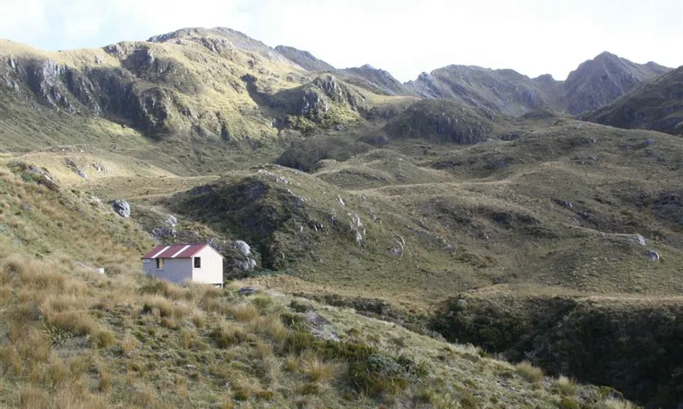 Lake Morgan Hut