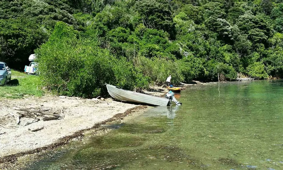 Nikau Cove Campsite